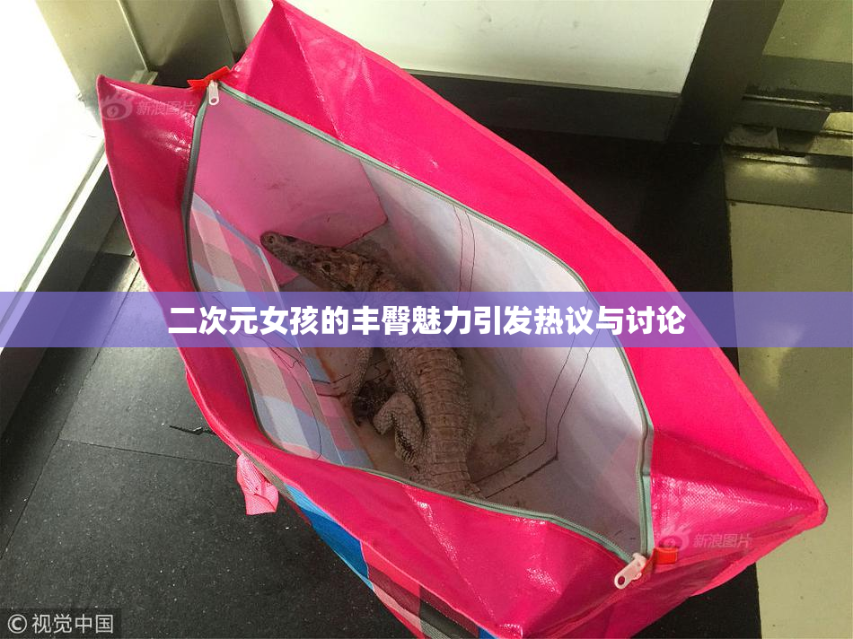 二次元女孩的丰臀魅力引发热议与讨论