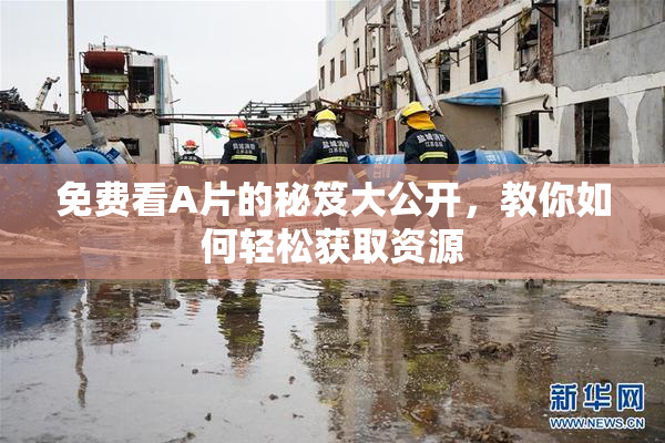 免费看A片的秘笈大公开，教你如何轻松获取资源