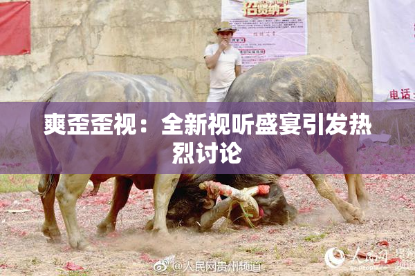 爽歪歪视：全新视听盛宴引发热烈讨论