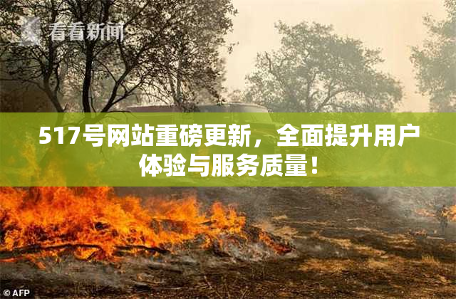 517号网站重磅更新，全面提升用户体验与服务质量！