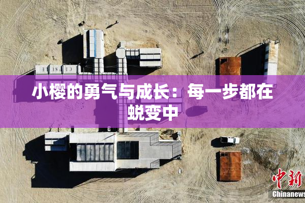 小樱的勇气与成长：每一步都在蜕变中