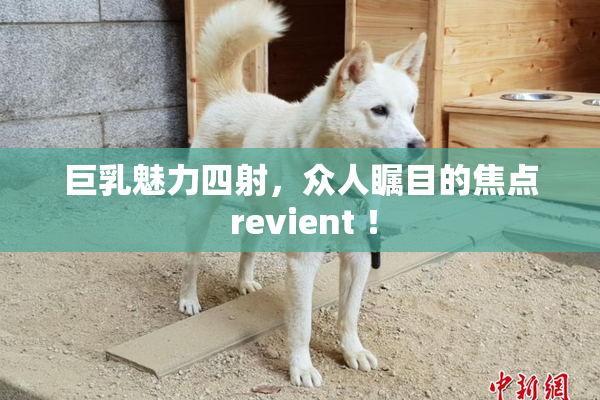 巨乳魅力四射，众人瞩目的焦点 revient ！