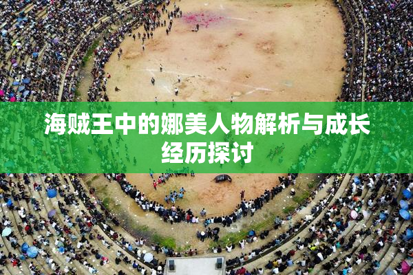 海贼王中的娜美人物解析与成长经历探讨