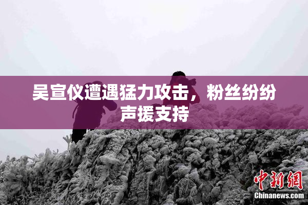 吴宣仪遭遇猛力攻击，粉丝纷纷声援支持