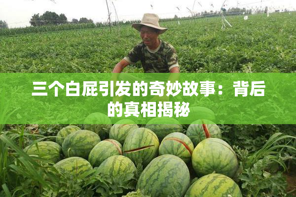 三个白屁引发的奇妙故事：背后的真相揭秘