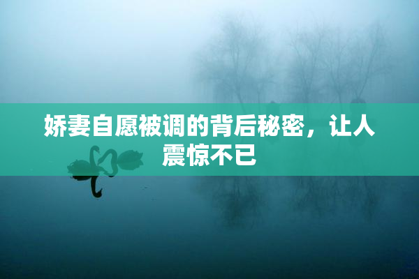 娇妻自愿被调的背后秘密，让人震惊不已