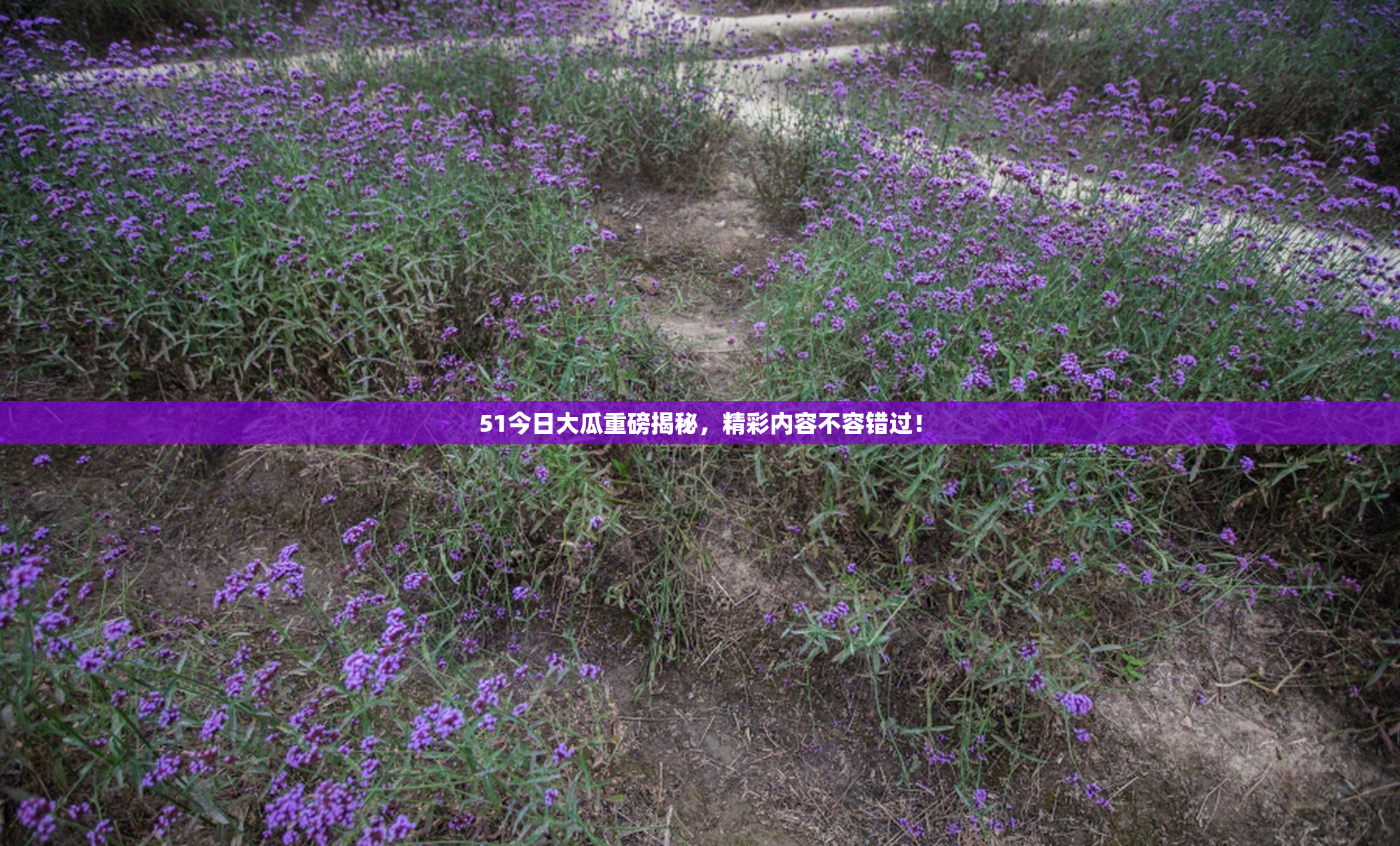 51今日大瓜重磅揭秘，精彩内容不容错过！