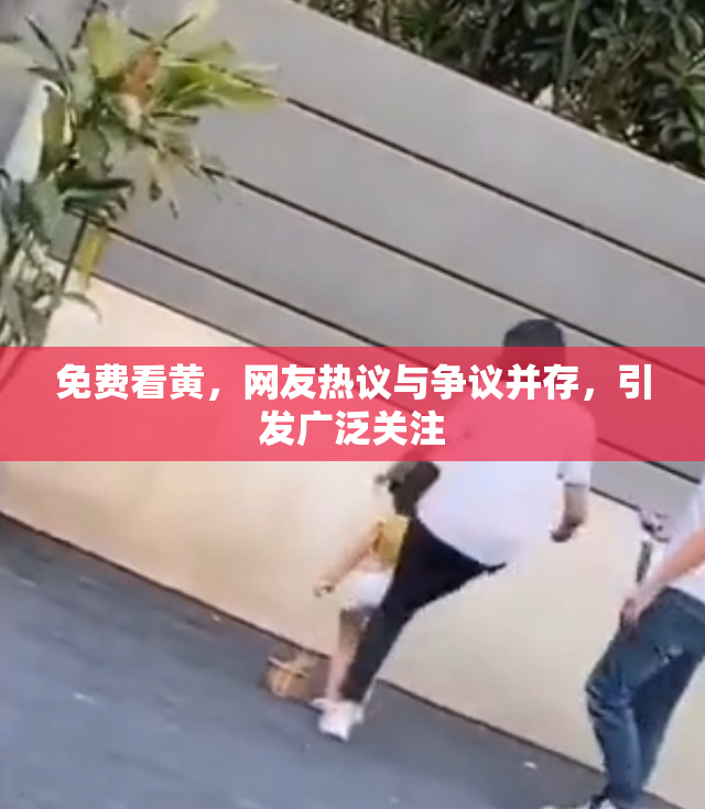 免费看黄，网友热议与争议并存，引发广泛关注