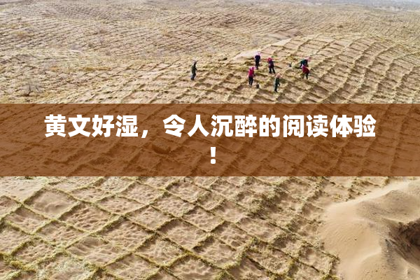 黄文好湿，令人沉醉的阅读体验！