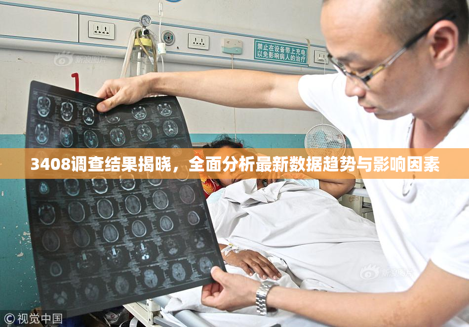 3408调查结果揭晓，全面分析最新数据趋势与影响因素