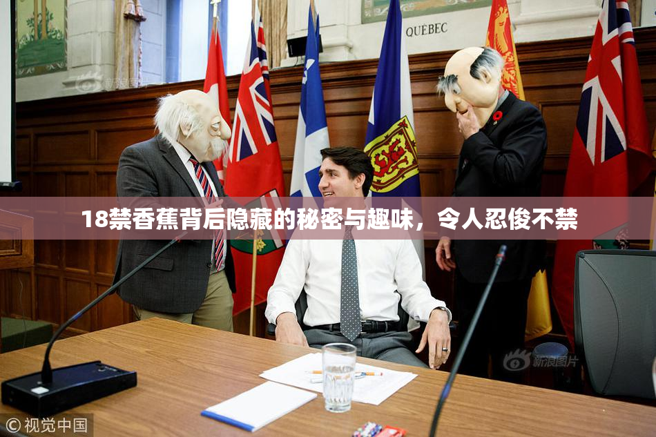 18禁香蕉背后隐藏的秘密与趣味，令人忍俊不禁