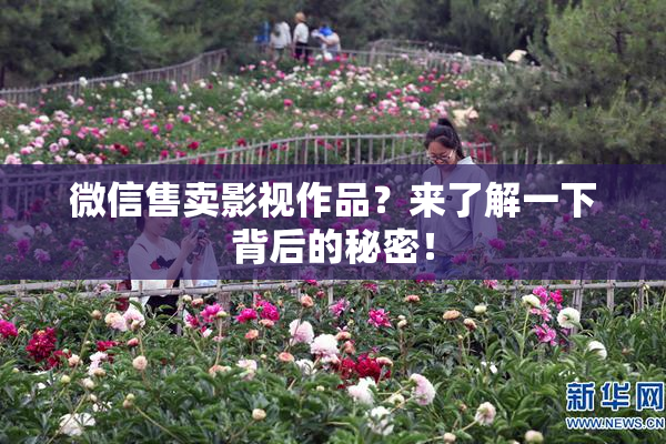 微信售卖影视作品？来了解一下背后的秘密！