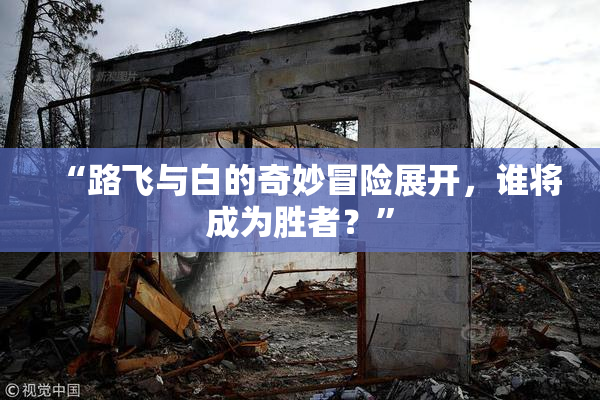 “路飞与白的奇妙冒险展开，谁将成为胜者？”