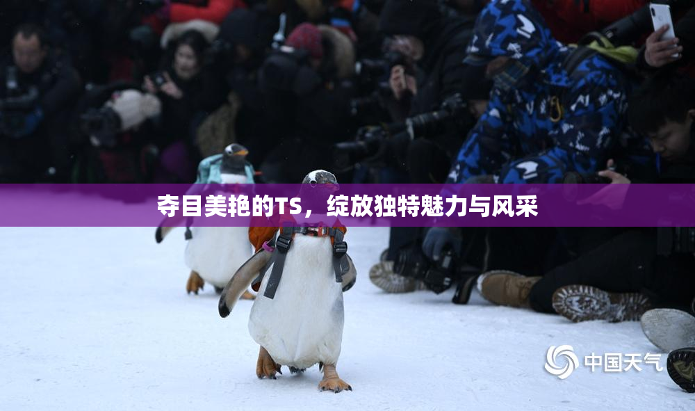 夺目美艳的TS，绽放独特魅力与风采