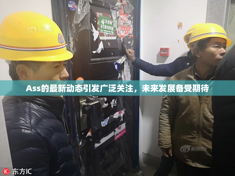 Ass的最新动态引发广泛关注，未来发展备受期待