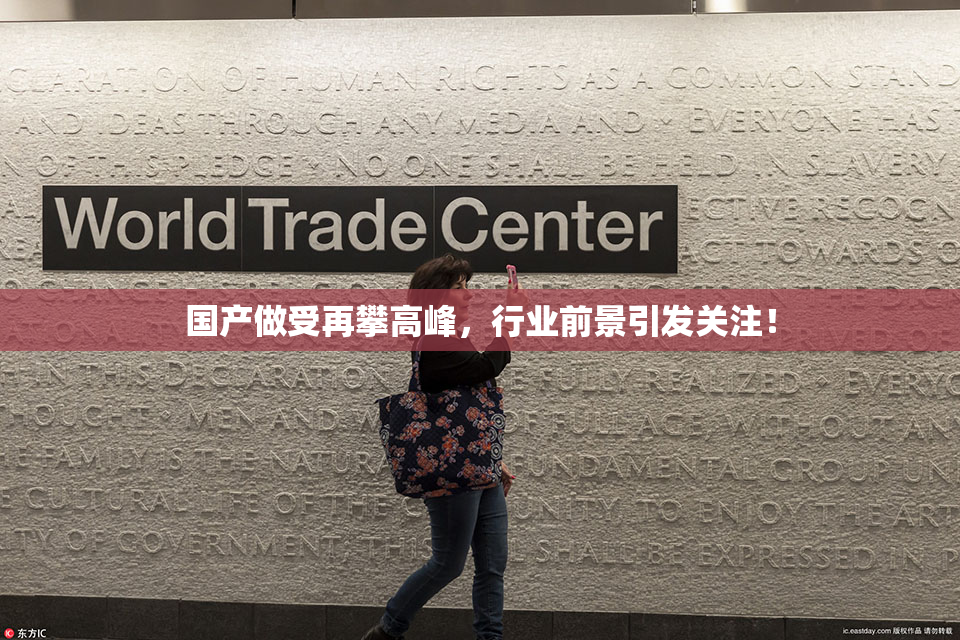 国产做受再攀高峰，行业前景引发关注！