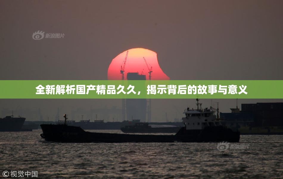 全新解析国产精品久久，揭示背后的故事与意义