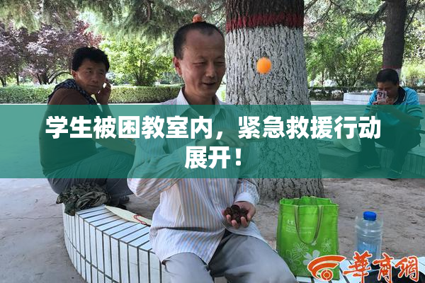 学生被困教室内，紧急救援行动展开！
