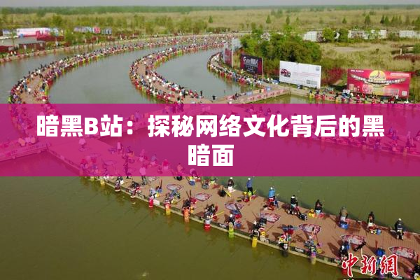 暗黑B站：探秘网络文化背后的黑暗面