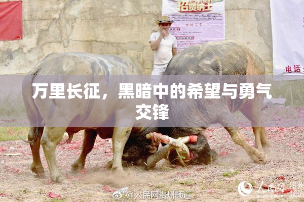 万里长征，黑暗中的希望与勇气交锋