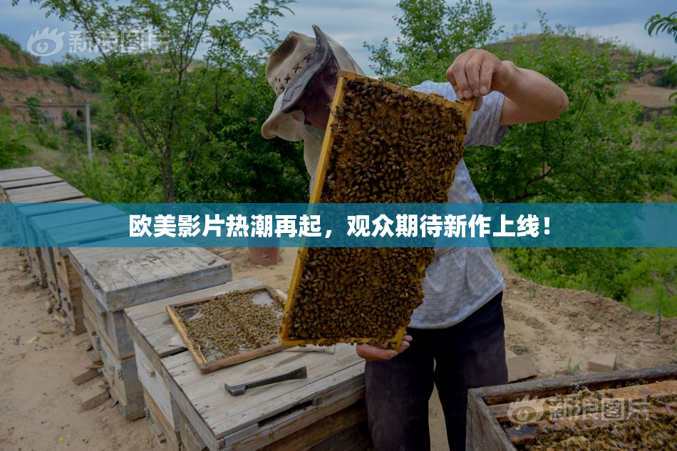 欧美影片热潮再起，观众期待新作上线！