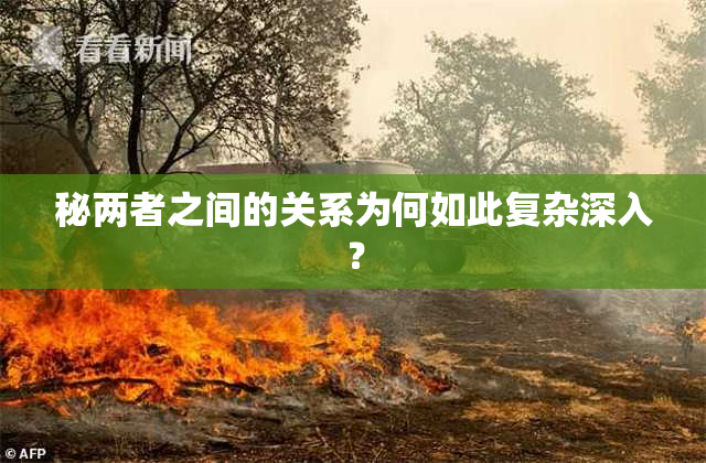 秘两者之间的关系为何如此复杂深入？