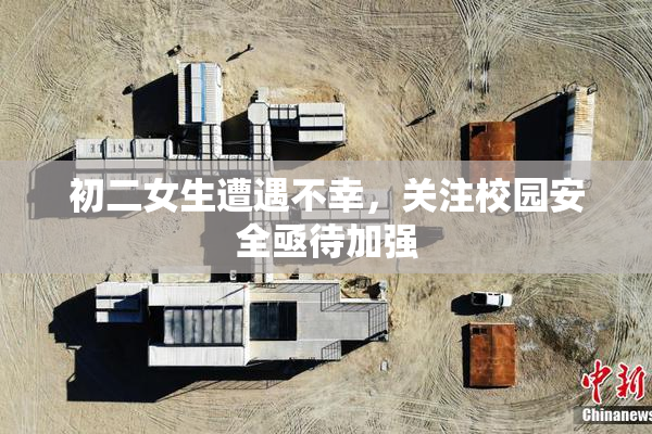 初二女生遭遇不幸，关注校园安全亟待加强