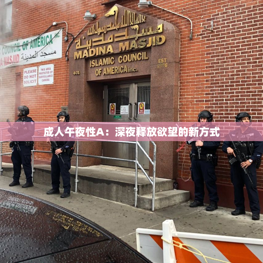 成人午夜性A：深夜释放欲望的新方式