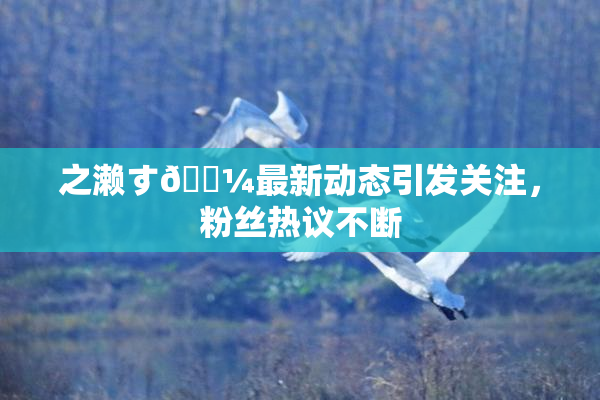 之濑す🌼最新动态引发关注，粉丝热议不断