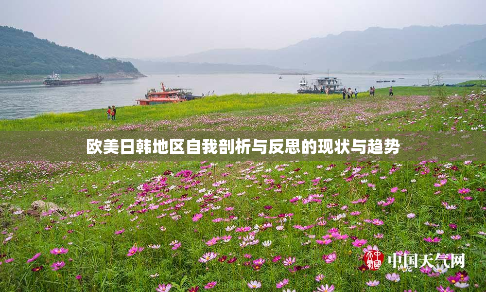 欧美日韩地区自我剖析与反思的现状与趋势