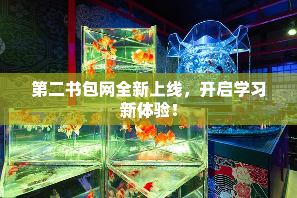 第二书包网全新上线，开启学习新体验！