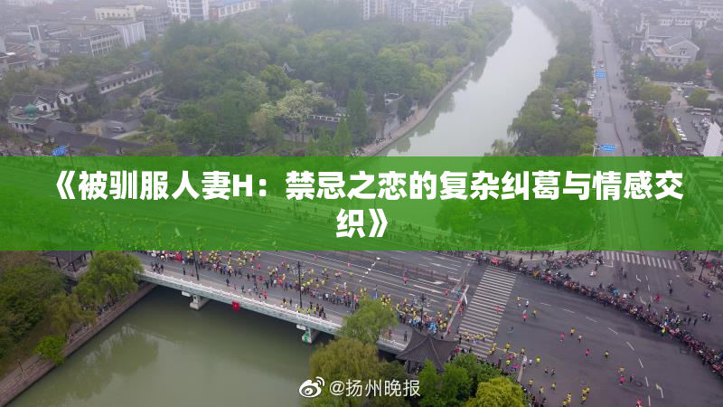 《被驯服人妻H：禁忌之恋的复杂纠葛与情感交织》