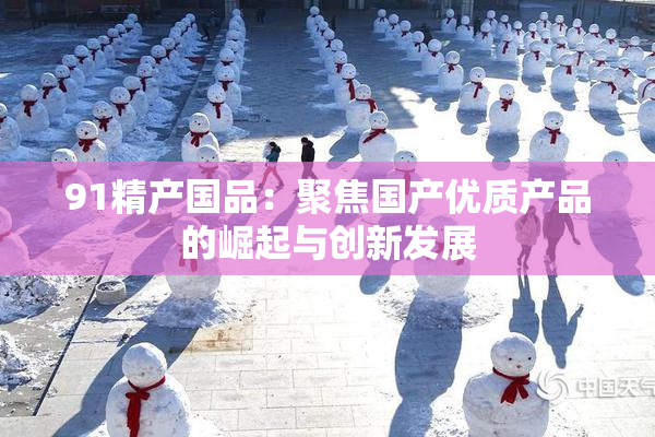 91精产国品：聚焦国产优质产品的崛起与创新发展