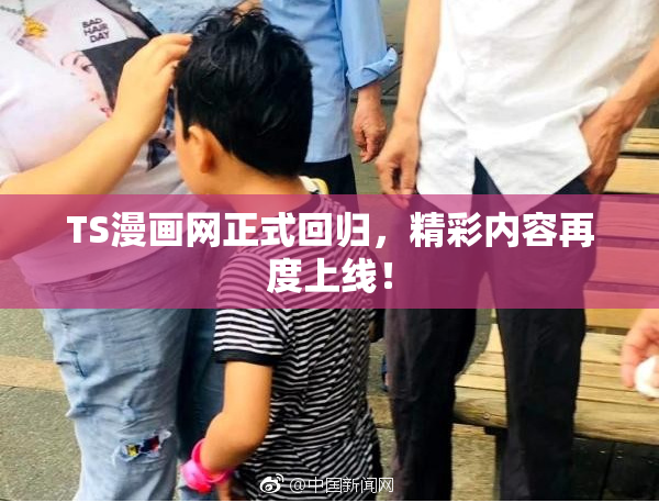 TS漫画网正式回归，精彩内容再度上线！