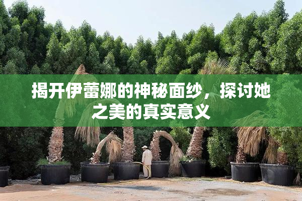 揭开伊蕾娜的神秘面纱，探讨她之美的真实意义