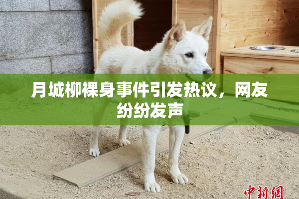 月城柳裸身事件引发热议，网友纷纷发声