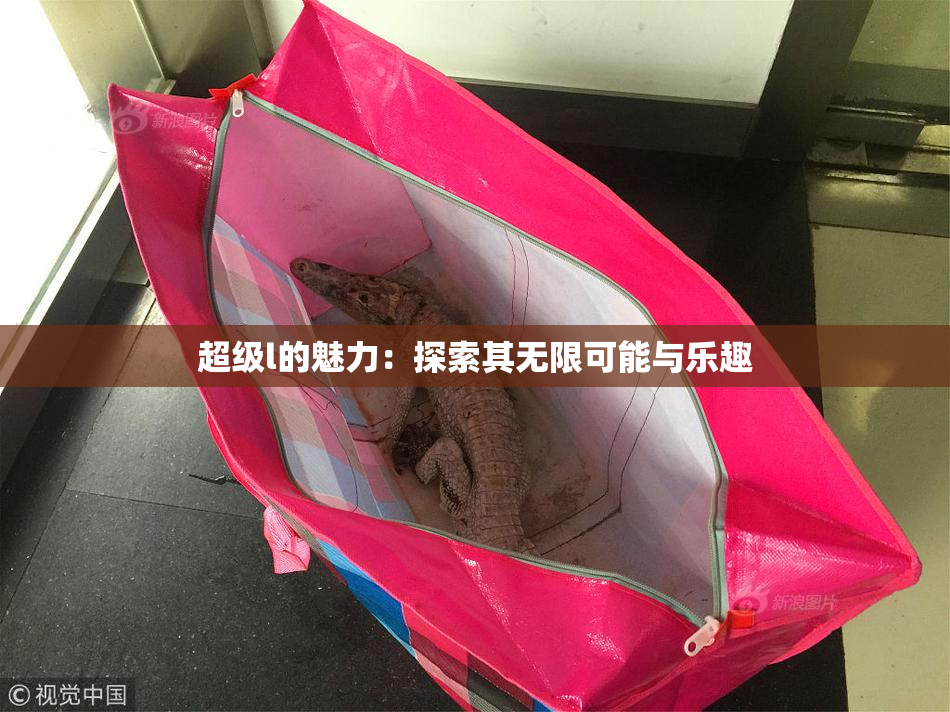 超级l的魅力：探索其无限可能与乐趣