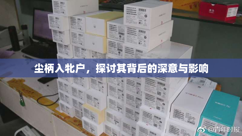 尘柄入牝户，探讨其背后的深意与影响