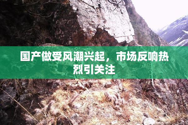国产做受风潮兴起，市场反响热烈引关注