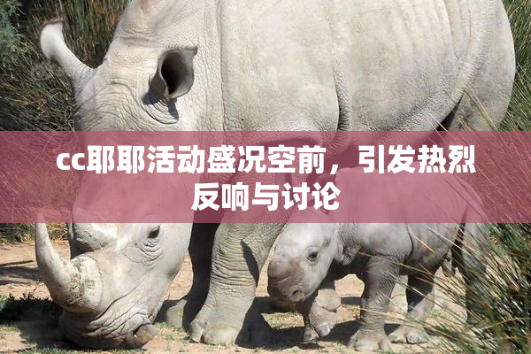 cc耶耶活动盛况空前，引发热烈反响与讨论