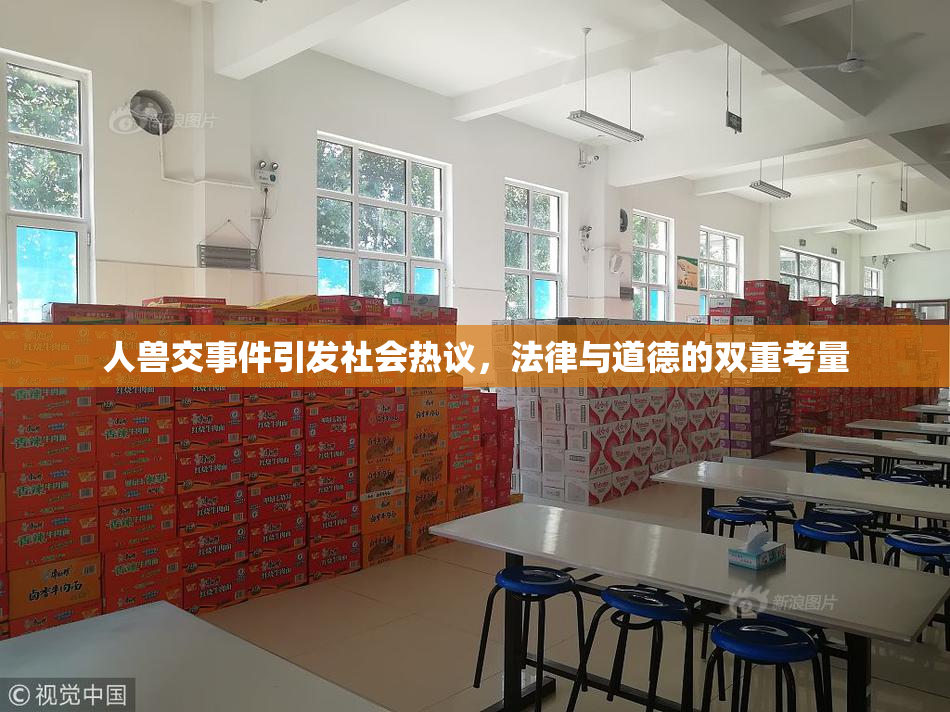 人兽交事件引发社会热议，法律与道德的双重考量