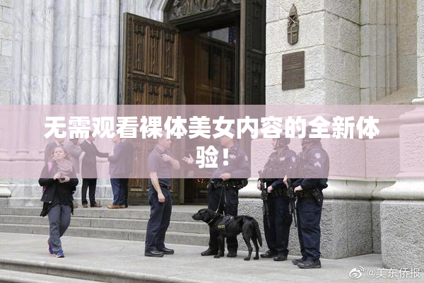 无需观看裸体美女内容的全新体验！