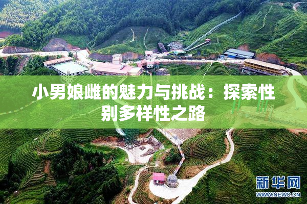 小男娘雌的魅力与挑战：探索性别多样性之路