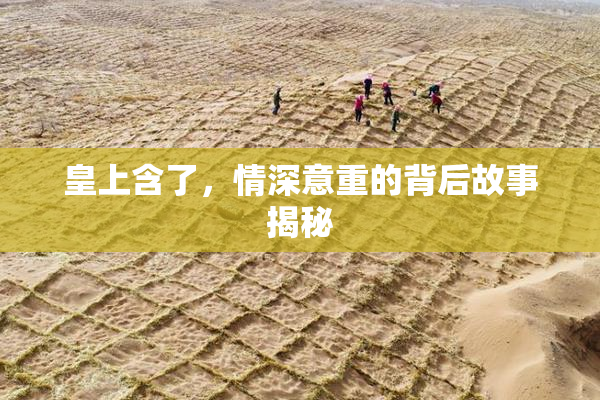皇上含了，情深意重的背后故事揭秘