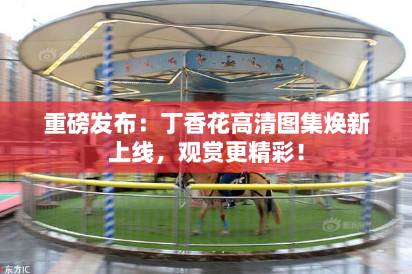 重磅发布：丁香花高清图集焕新上线，观赏更精彩！
