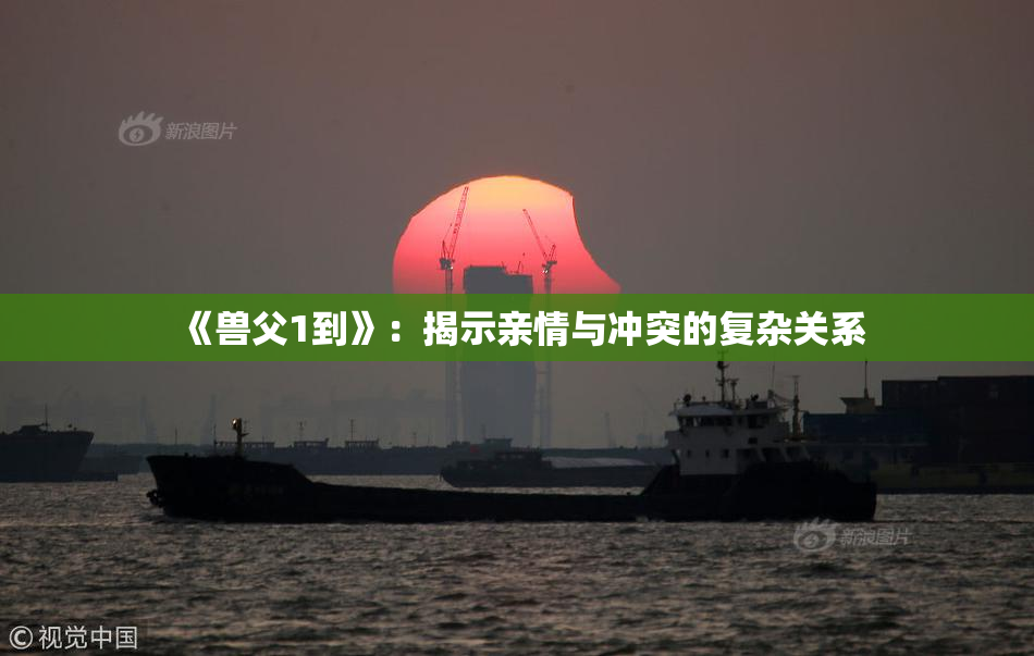 《兽父1到》：揭示亲情与冲突的复杂关系