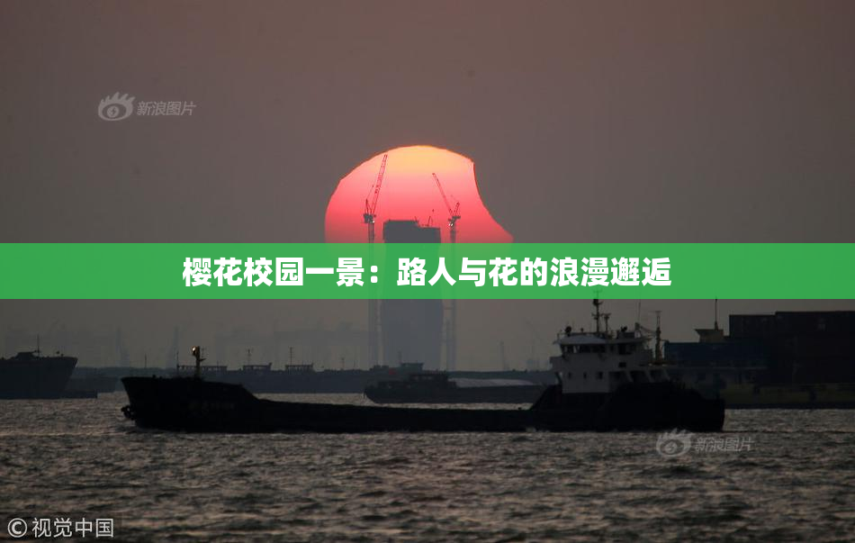 樱花校园一景：路人与花的浪漫邂逅