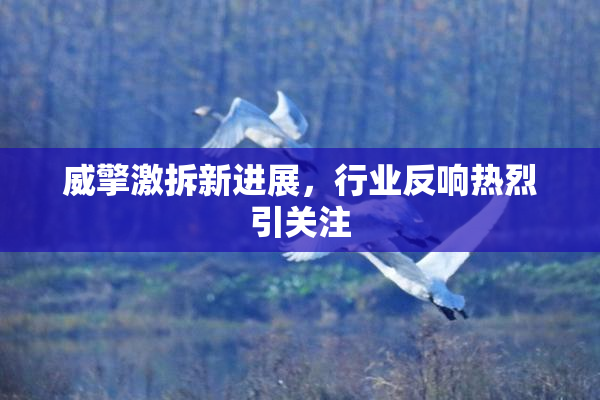 威擎激拆新进展，行业反响热烈引关注