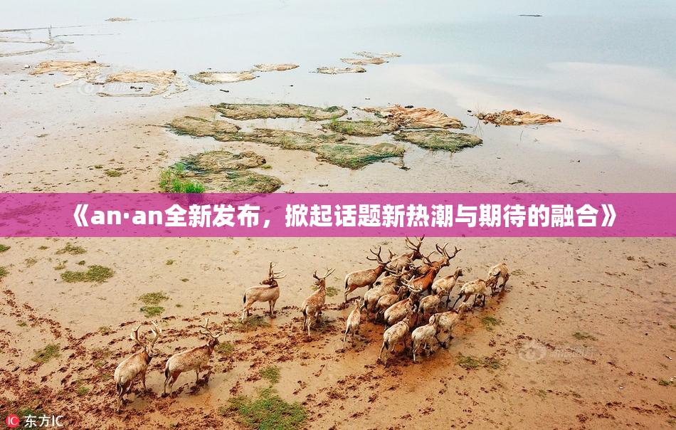 《an·an全新发布，掀起话题新热潮与期待的融合》