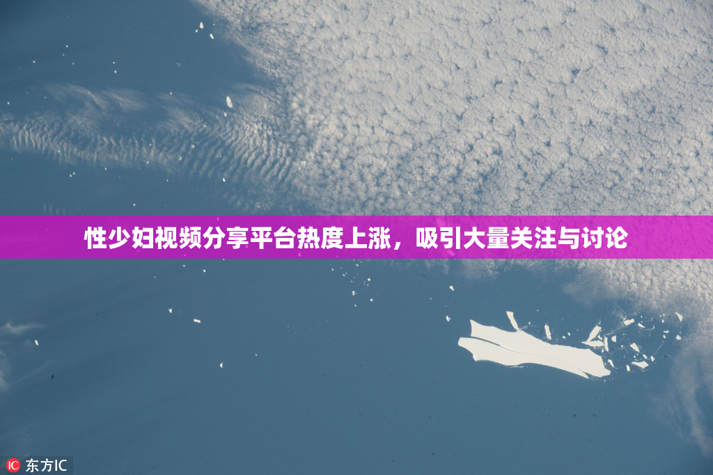 性少妇视频分享平台热度上涨，吸引大量关注与讨论